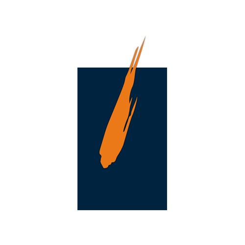 Art Gallery of Sudbury, 251 John St, Sudbury, ON