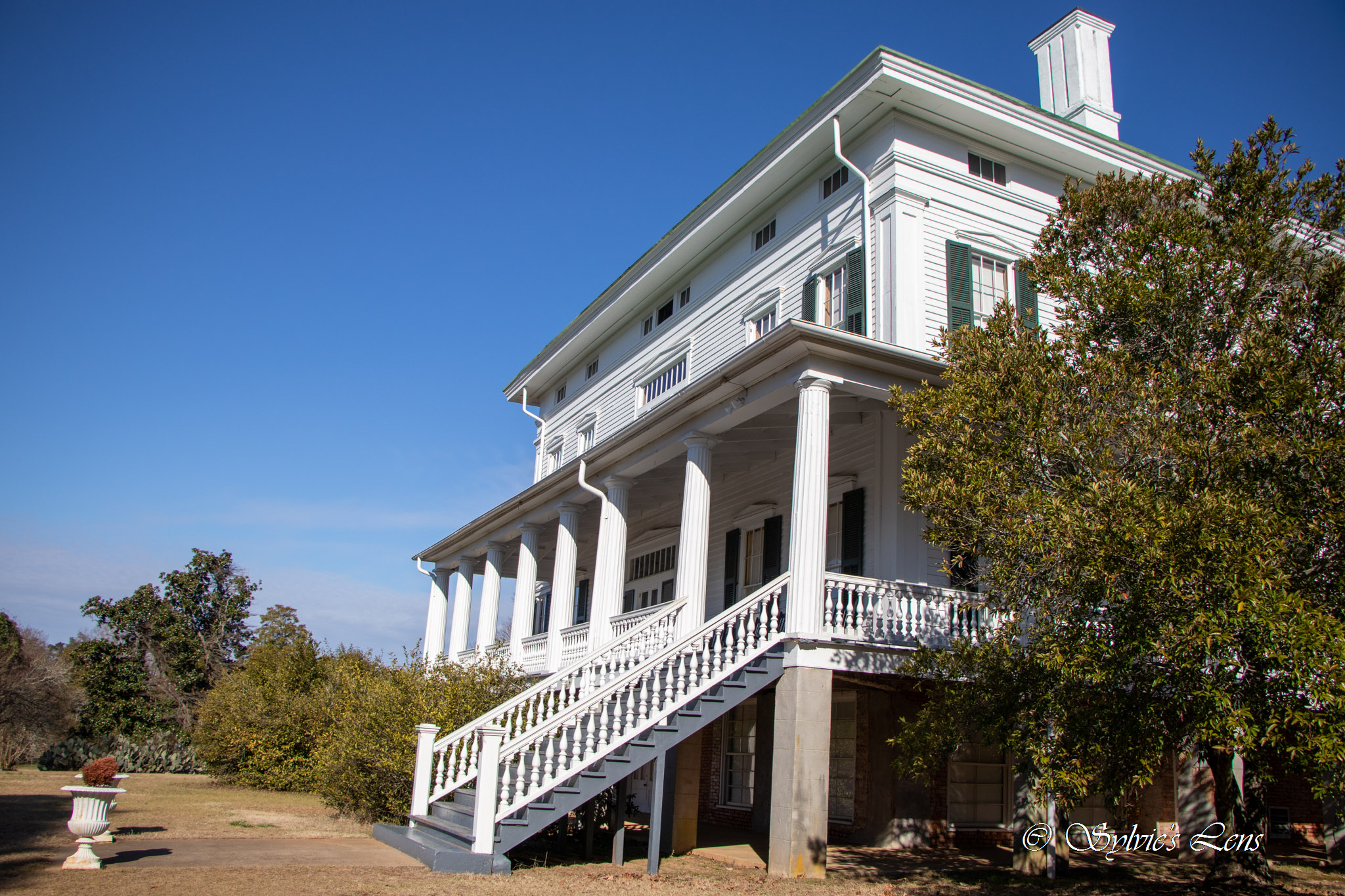 Redcliffe Plantation