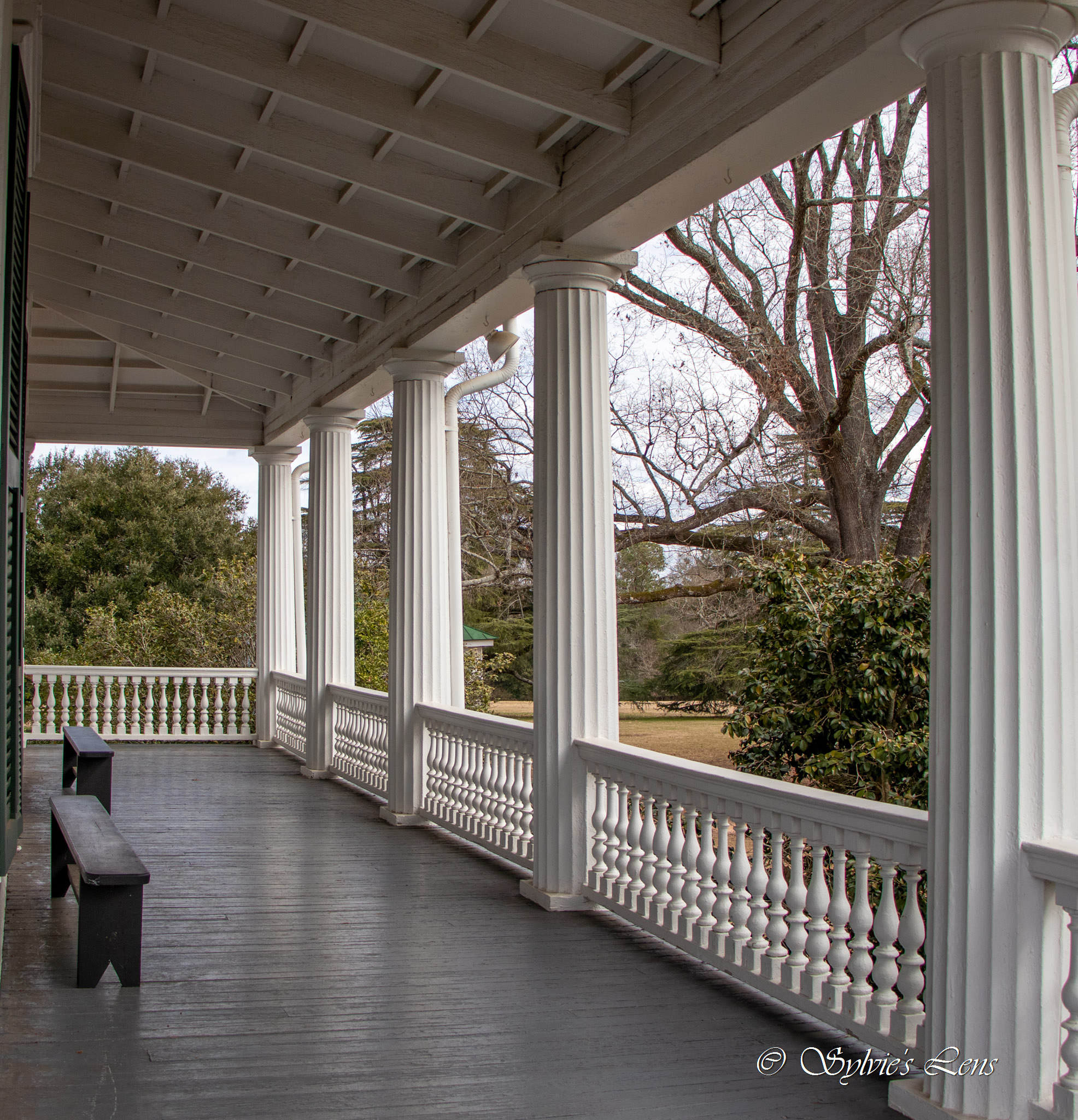Redcliffe Plantation