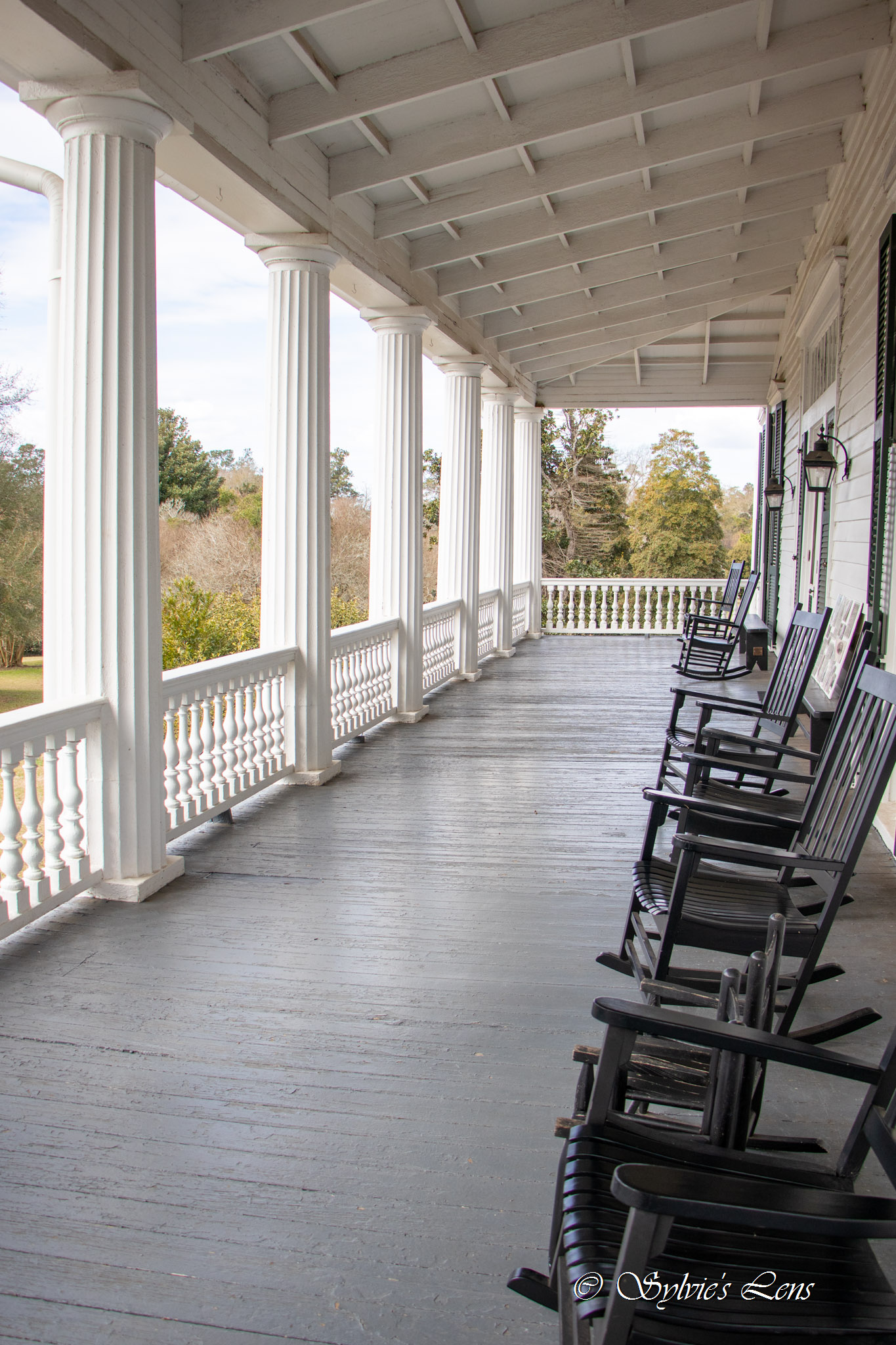 Redcliffe Plantation