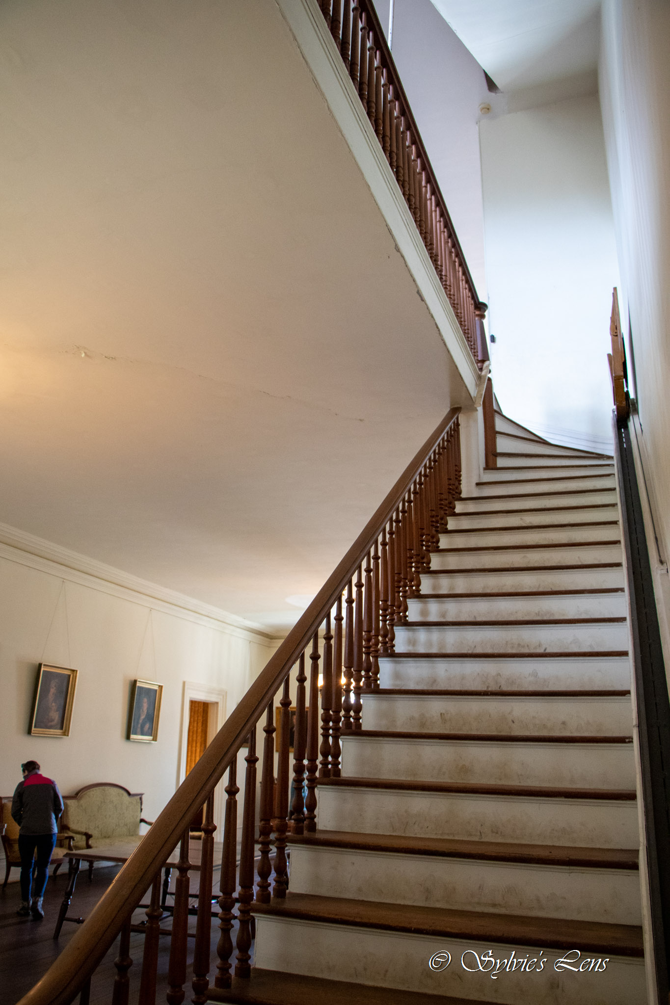 Redcliffe Plantation