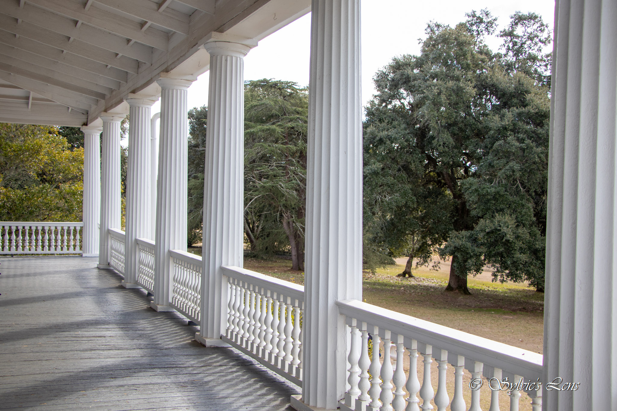 Redcliffe Plantation