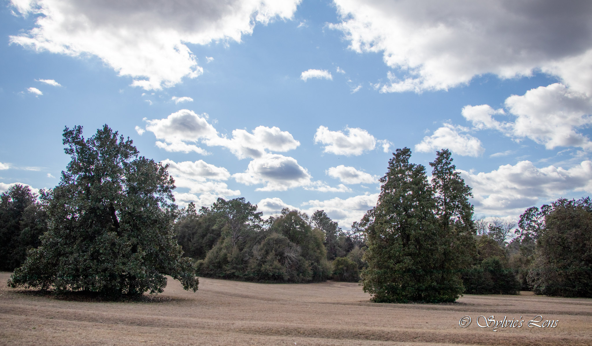 Redcliffe Plantation