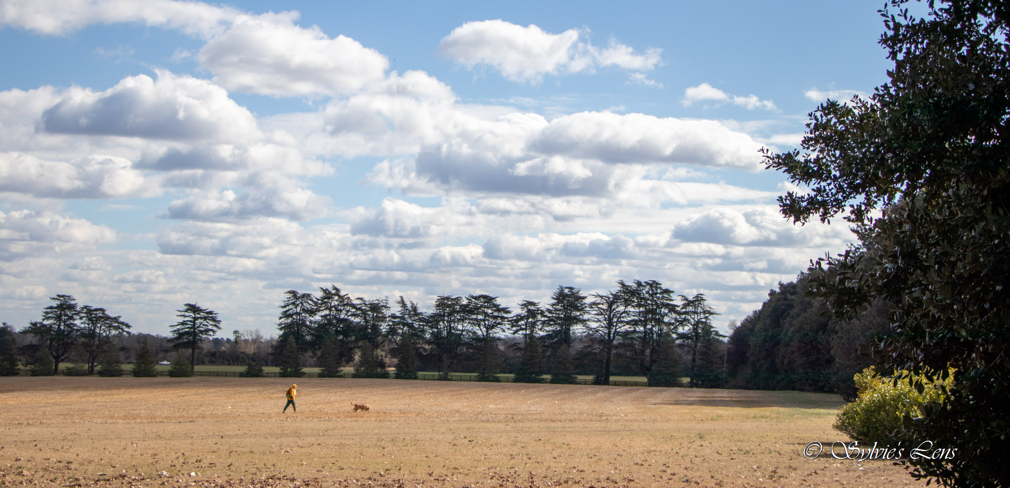 Redcliffe Plantation