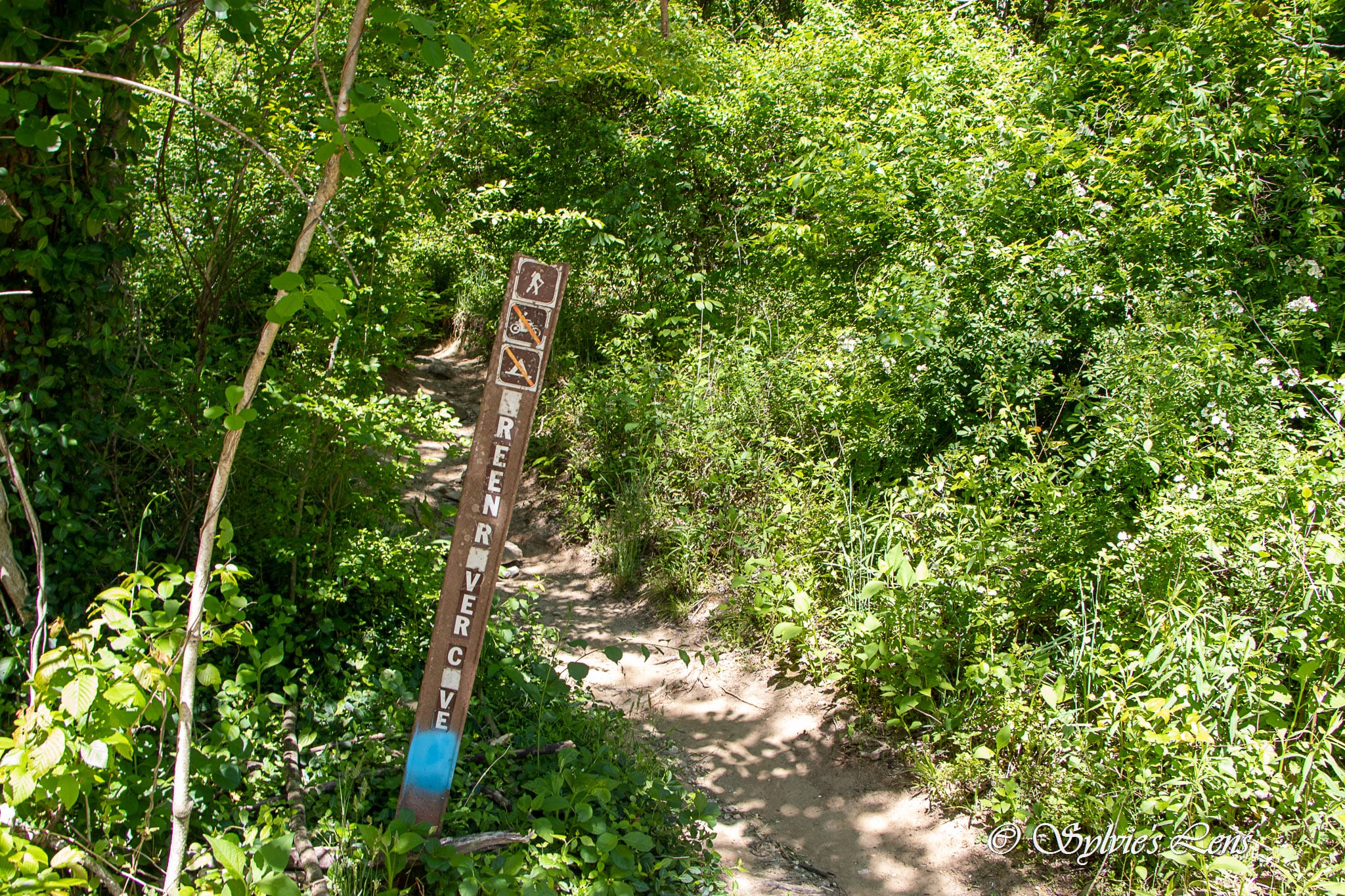 Green River Cove Trail