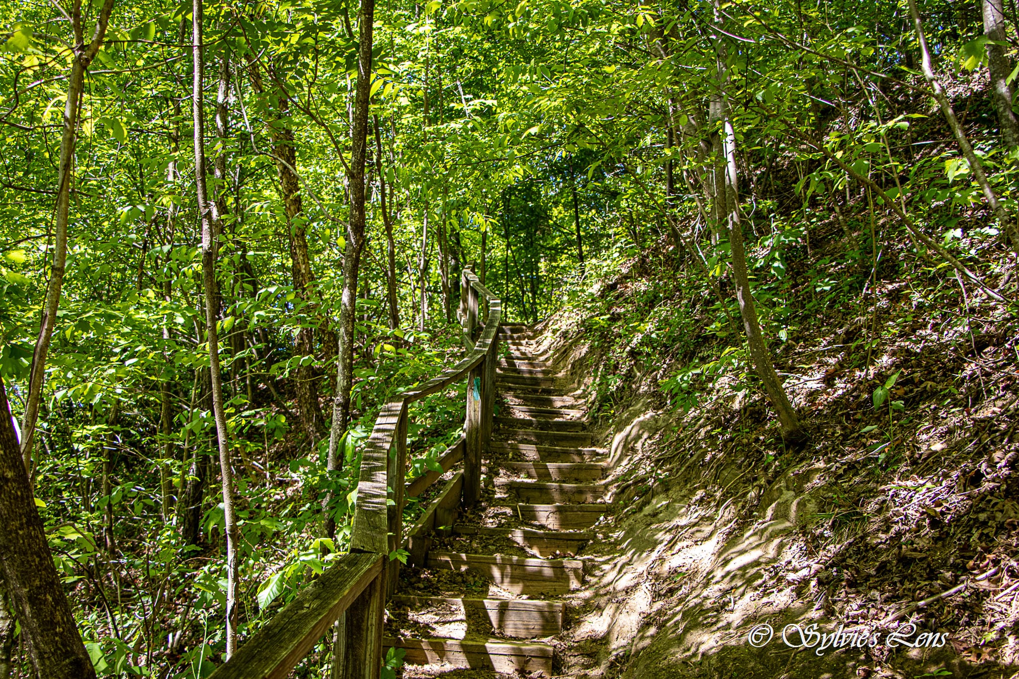 Green River Cove Trail