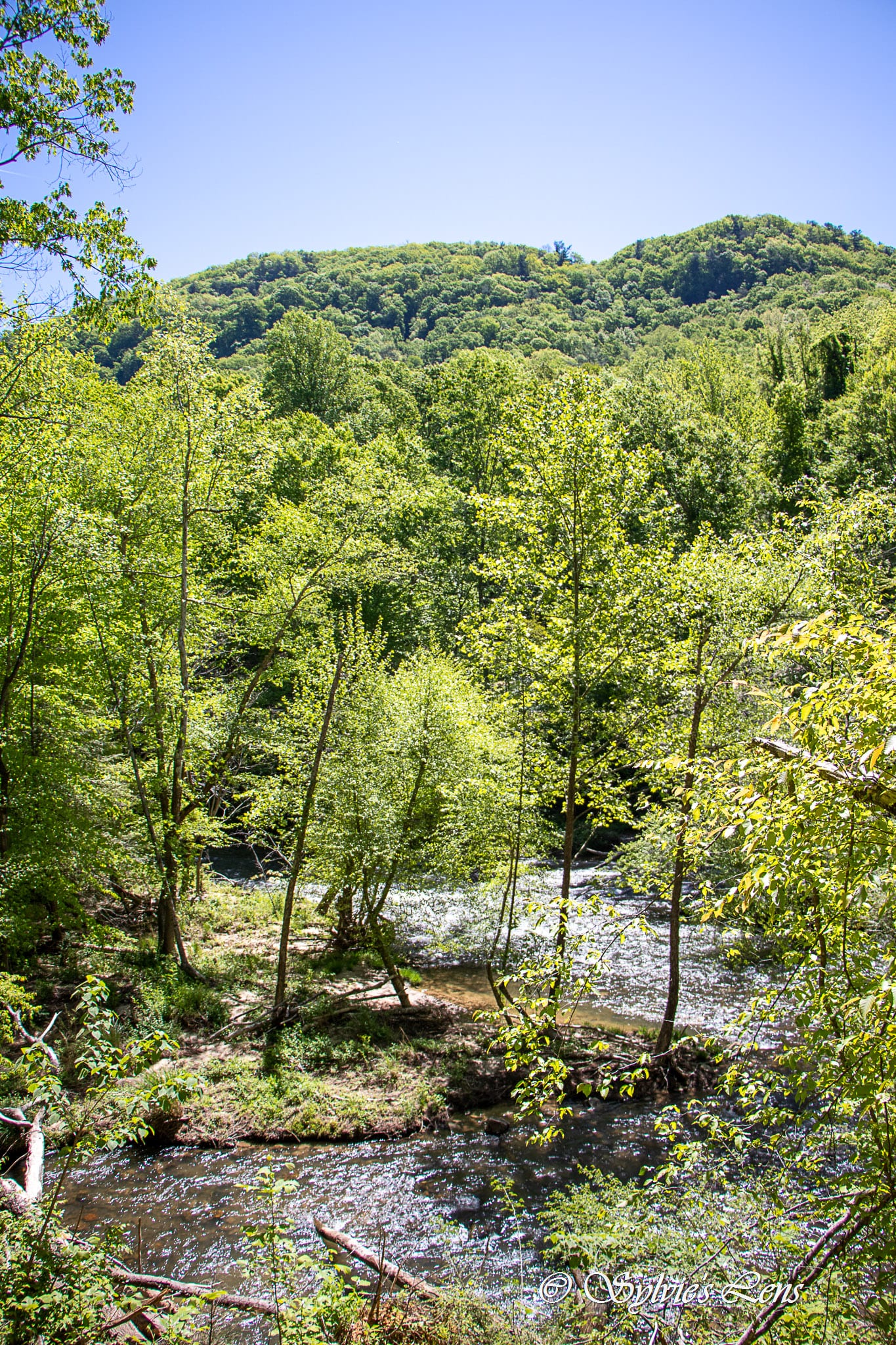 Green River Cove Trail