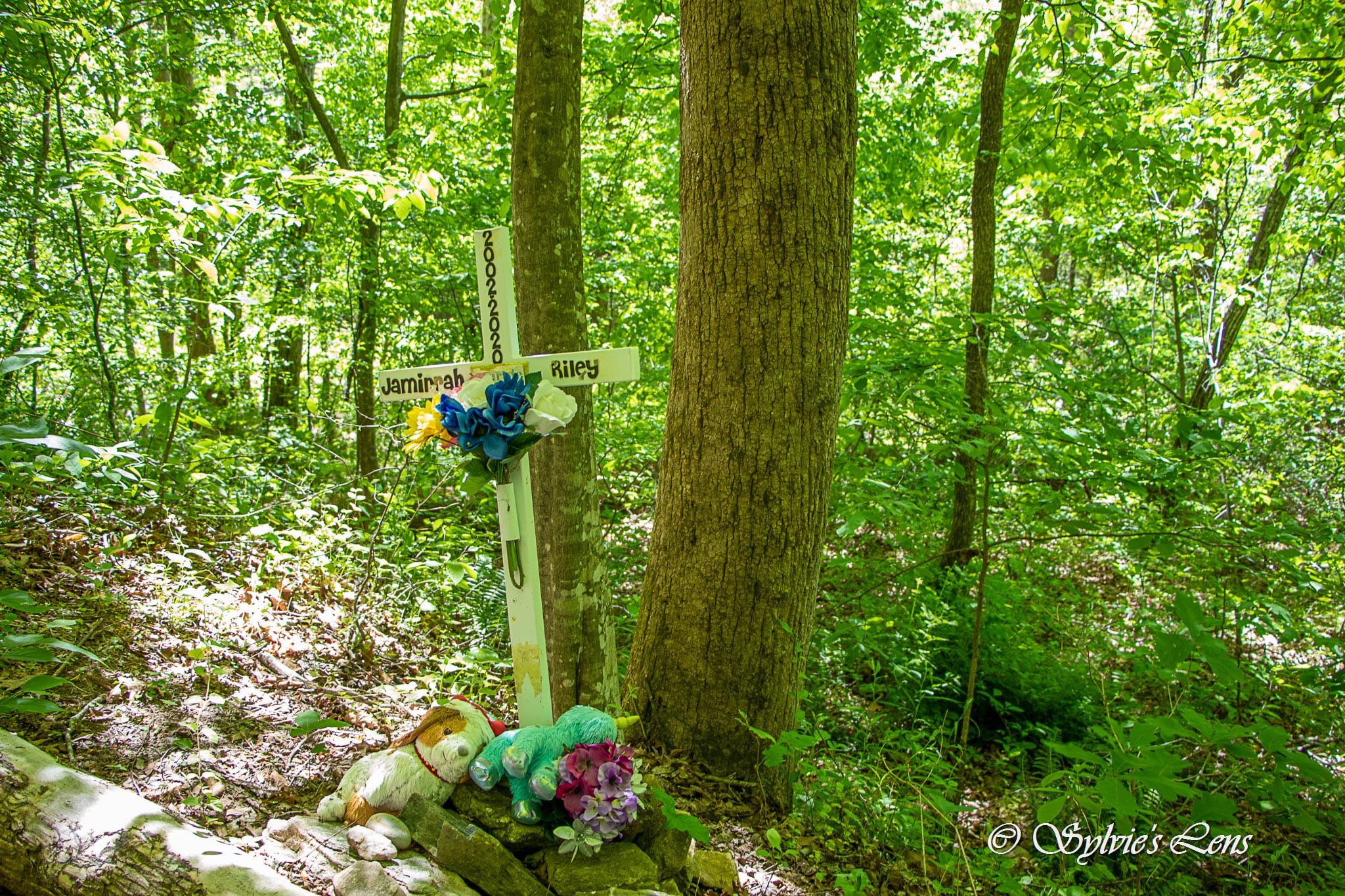 Green River Cove Trail