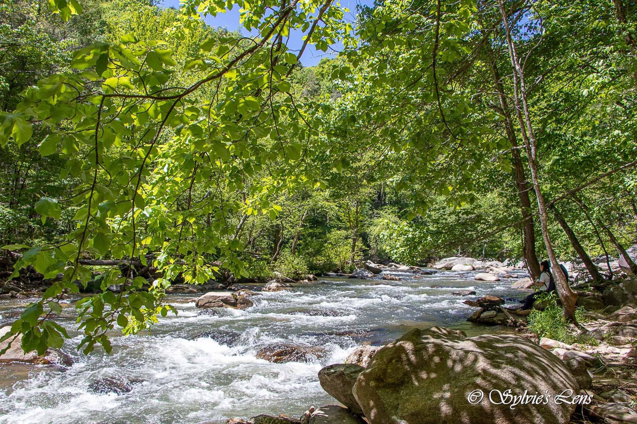 Green River Cove Trail