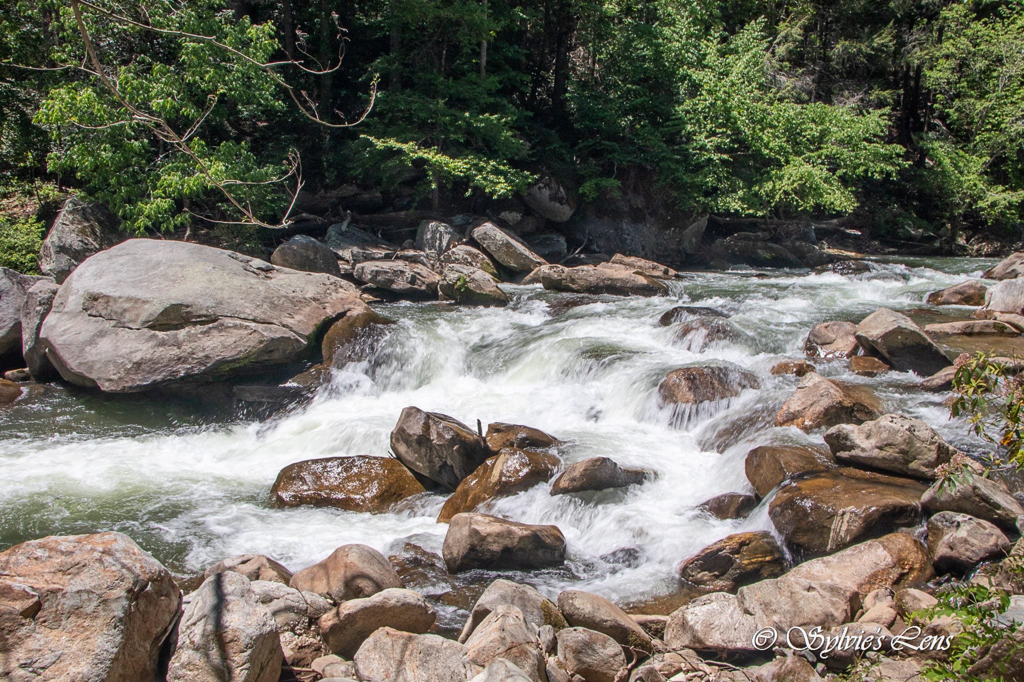 Green River Cove Trail