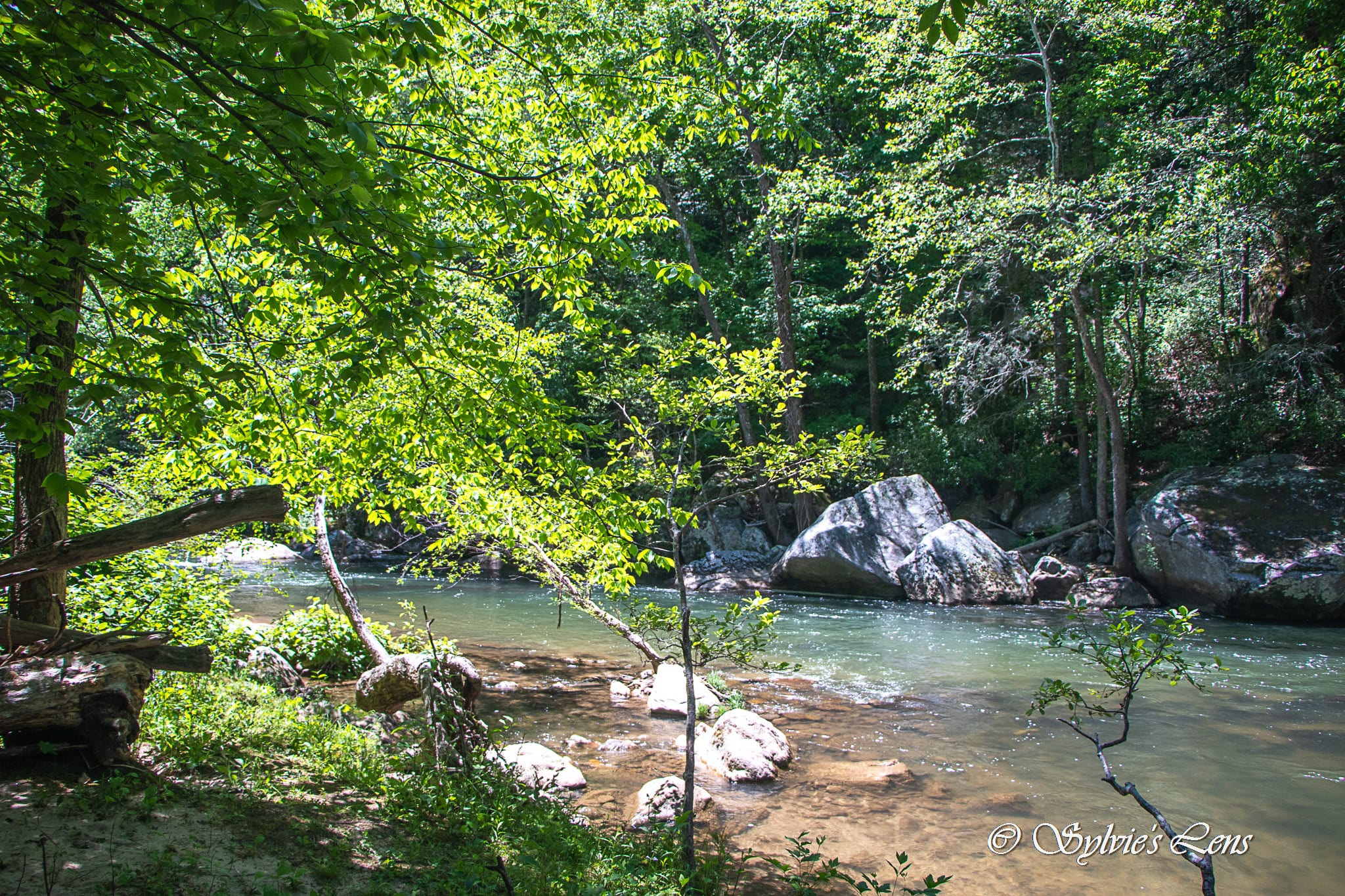 Green River Cove Trail