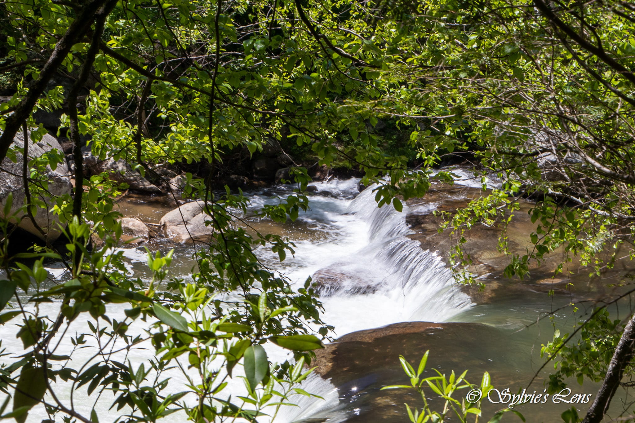 Green River Cove Trail