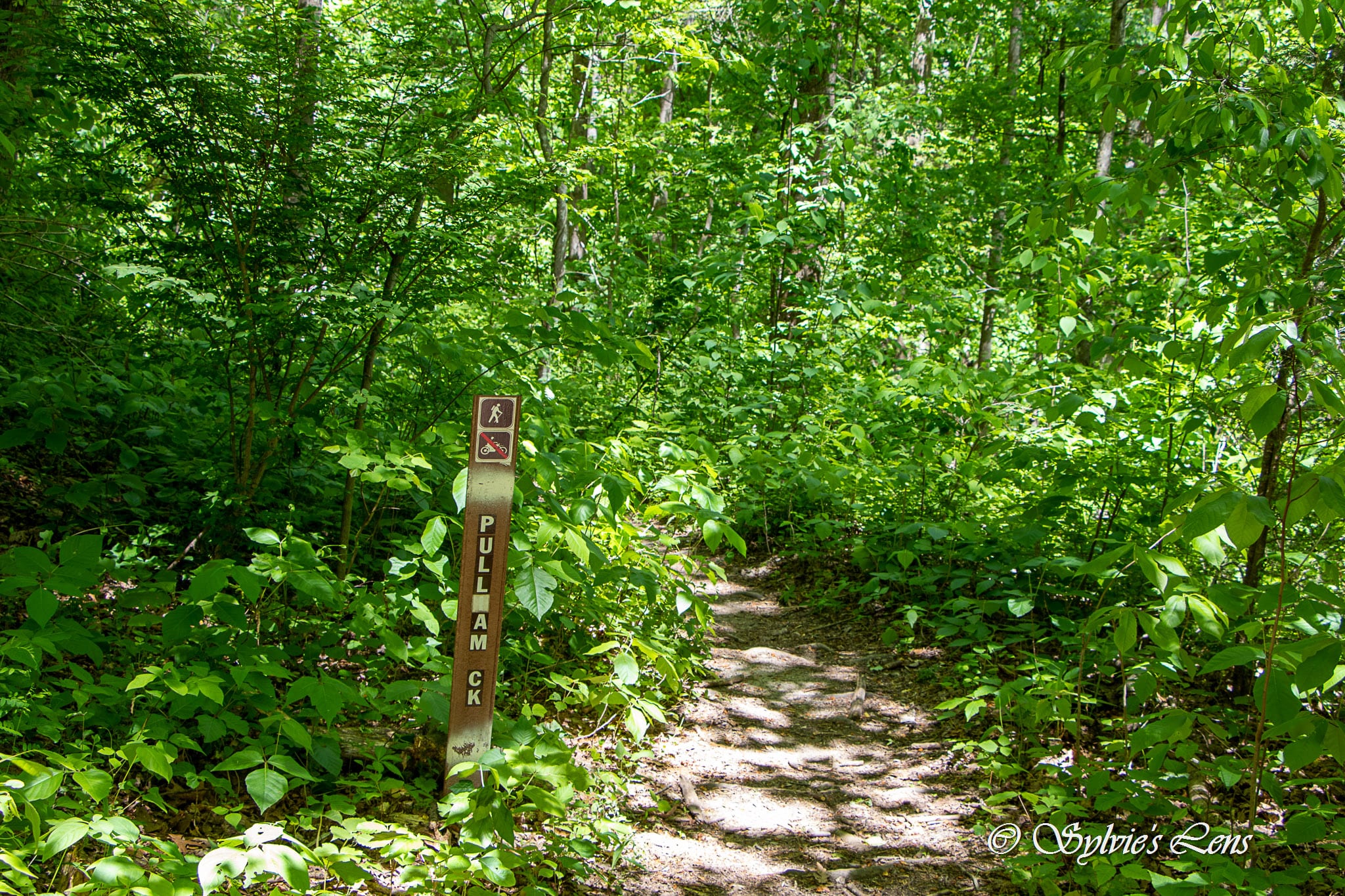 Green River Cove Trail