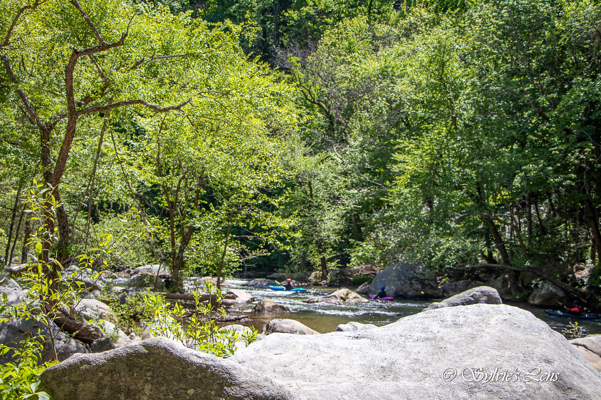 Green River Cove Trail