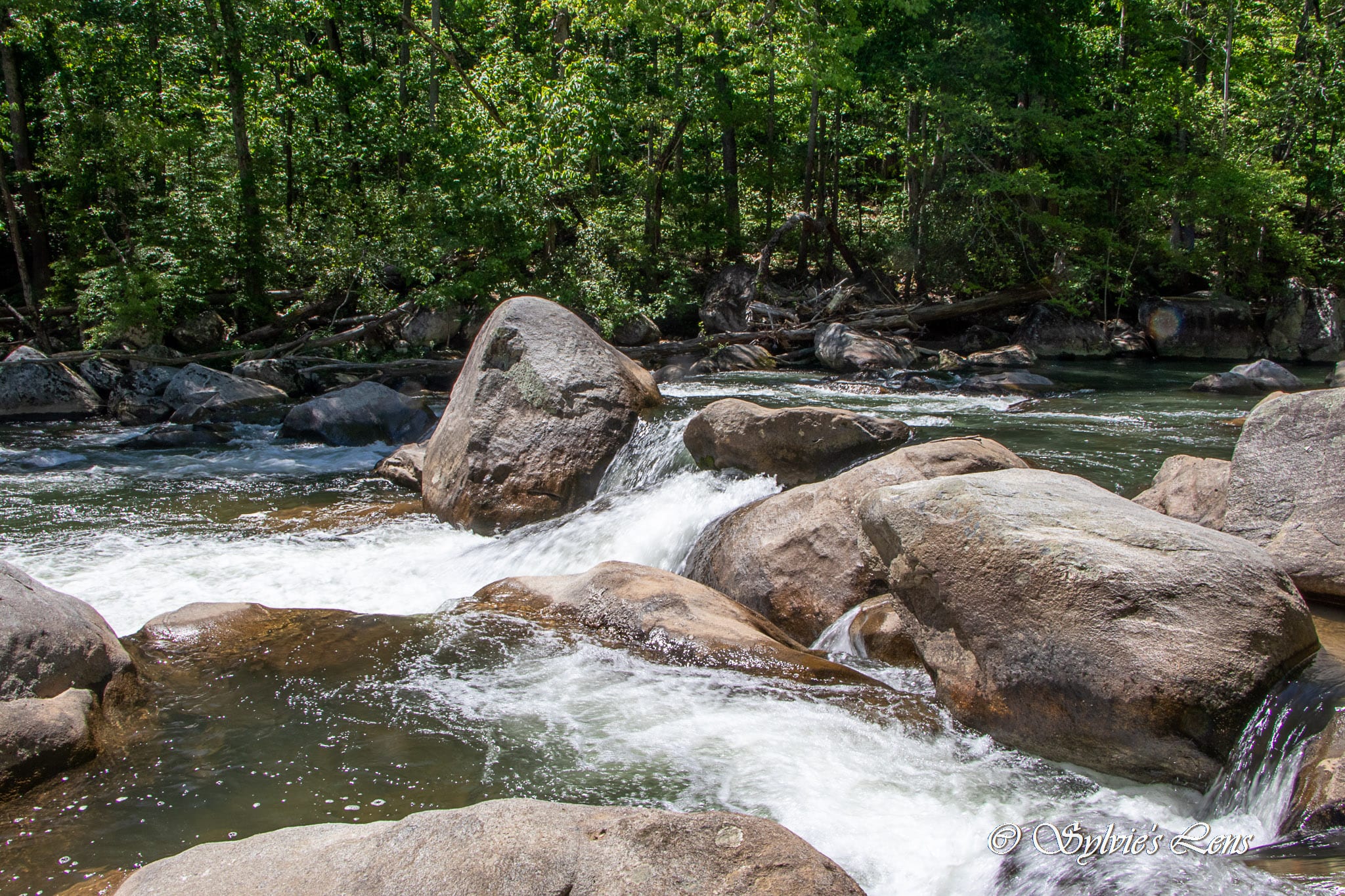 Green River Cove Trail
