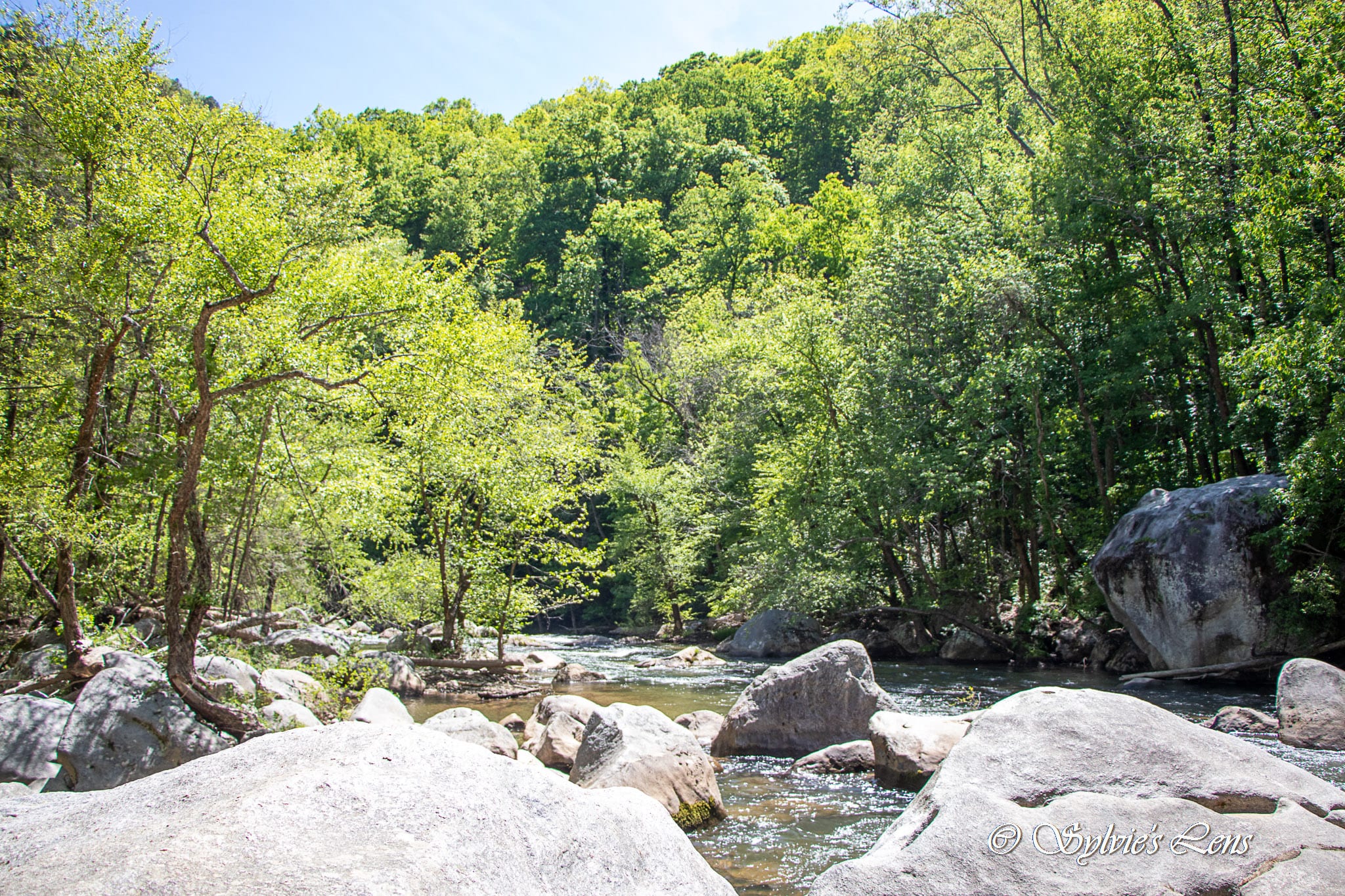 Green River Cove Trail