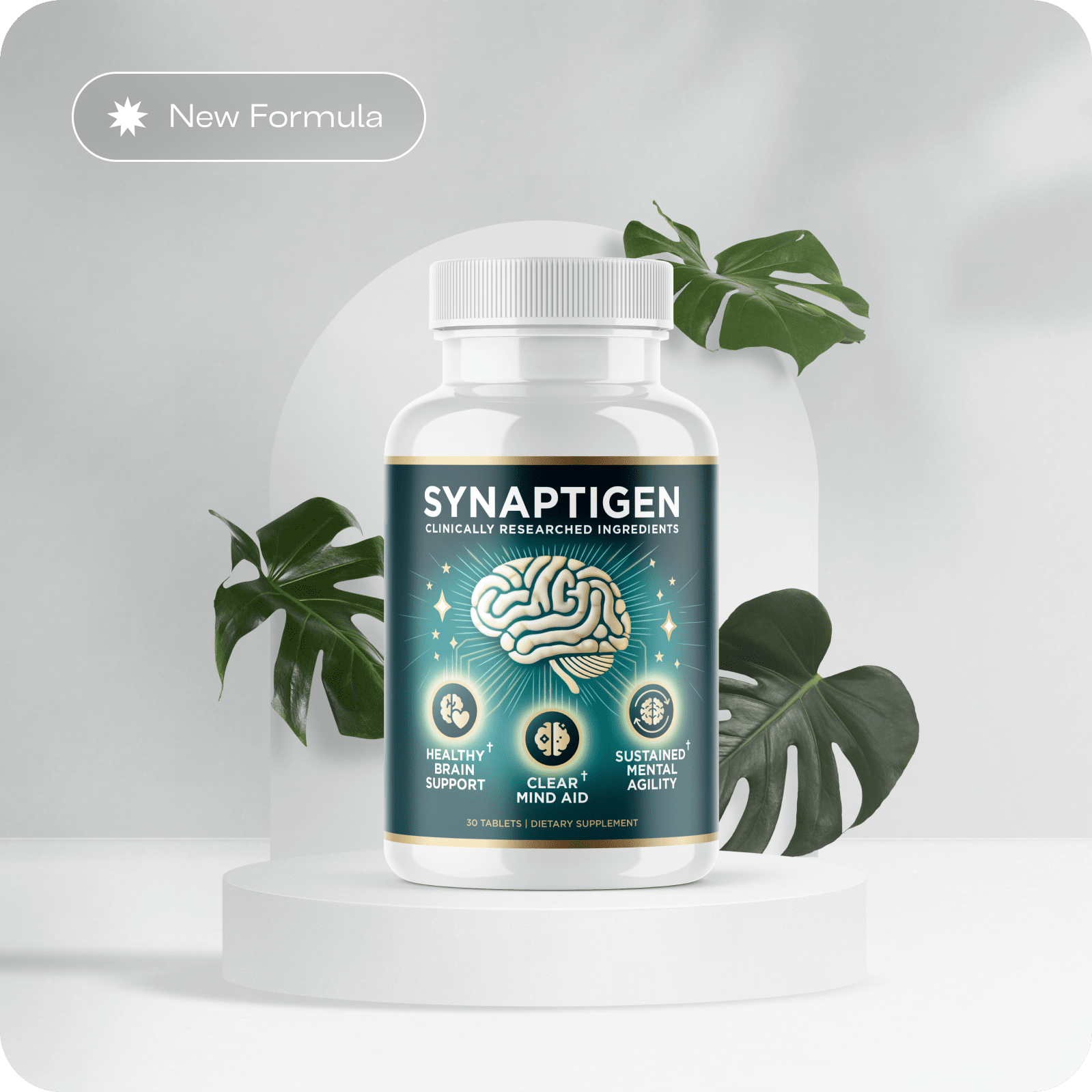 Synaptigen Formula