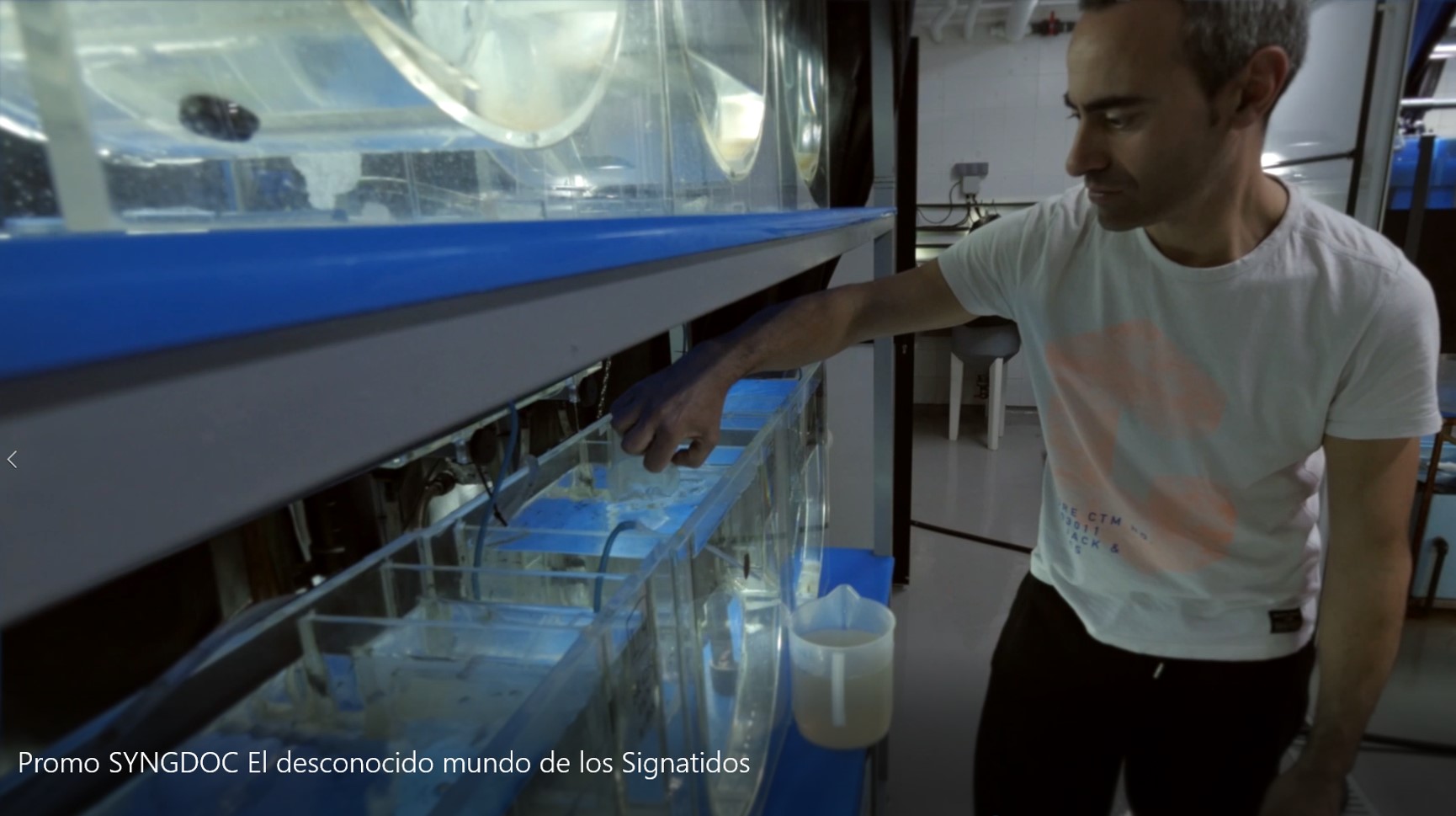 Cría en cautividad
