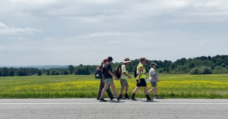 exc-68af1d3eced995524deb3b7a