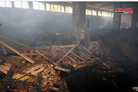 مديرية التبغ تنفي ما يشاع عن افتعال حريق الريجة في القرداحة