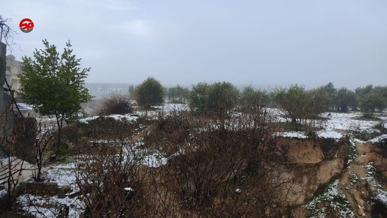 #إدلب – كفر التخاريم  تصوير: ريم مصطفى