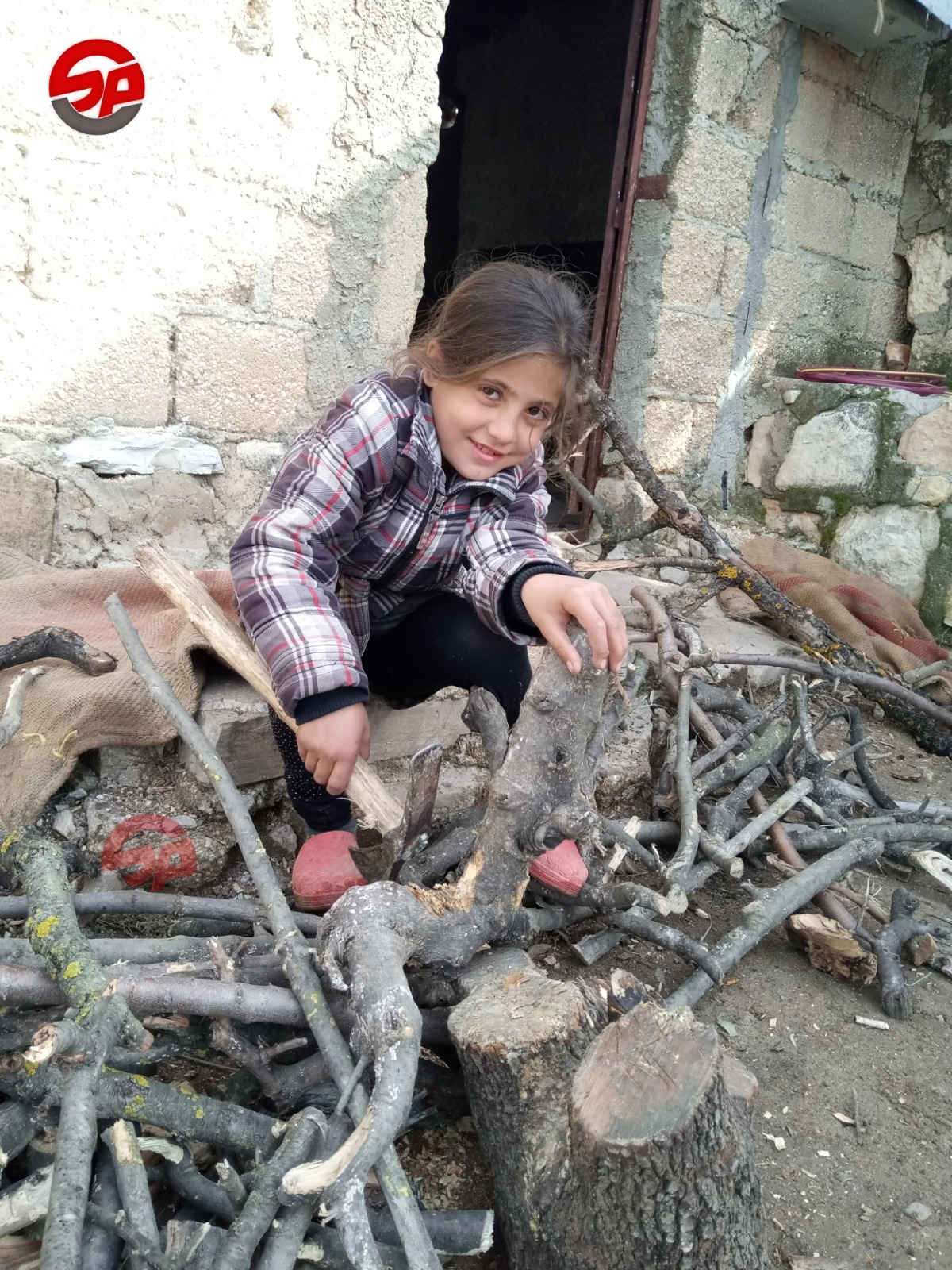 مريم تُقطع #الحطب لوالدتها – ريف #عفرين بعدسة: إبراهيم الخطيب