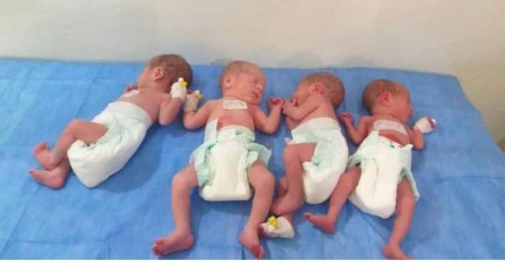 سيدة تلد أربعة توائم في مدينة إدلب