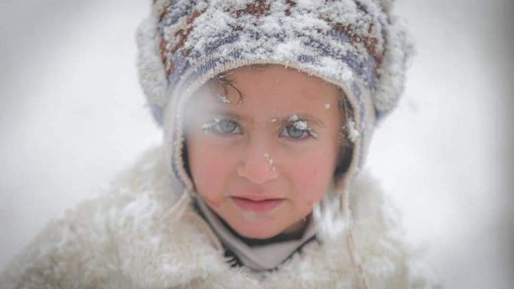 تلبس هذه الصغيرة من إدلب ما استطاعت لتحتمي من حبات الثلج، إلا أن الثلج أبى إلا أن يلامس رموش عينيها، وقبعتها الأنيقة، ليكسوها بهاء على بهائها..  بعدسة محمد السعيد.