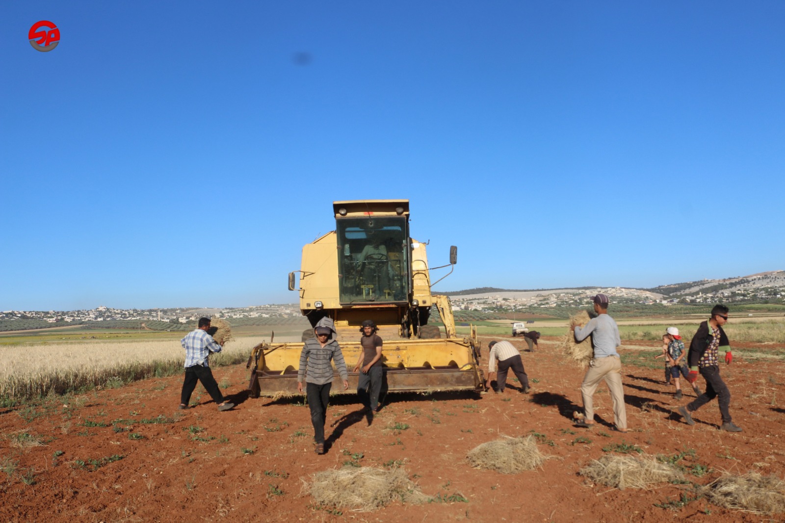 موسم #الحصاد في الشمال السوري  بعدسة: سهير الإسماعيل