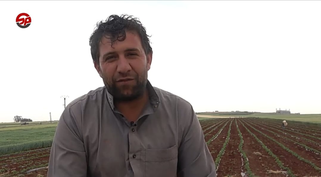 إقبال كبير من المزارعين على زراعة الخضروات في ظل استيائهم من التكاليف الباهظة