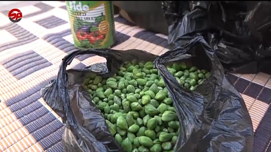 ماذا تعرف عن نبات #الشفلّح وماهي فوائدها أين تُزرع ولما تُستخدم؟ تعرّف على فوائدة نبات الشفلّح من خلال تقرير بسيط للمركز الصحفي السوري يُسلط الضوء عنها