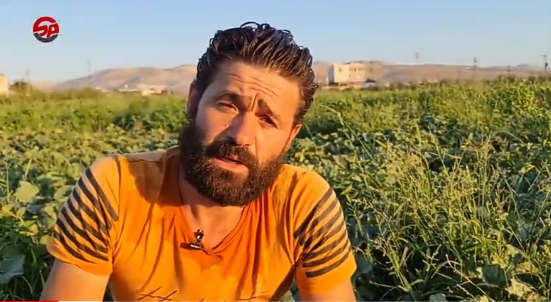 المزارع مصطفى أبو حسين نقل مهنته الزراعية بعد تهجيره من ريف #إدلب إلى #تركيا..