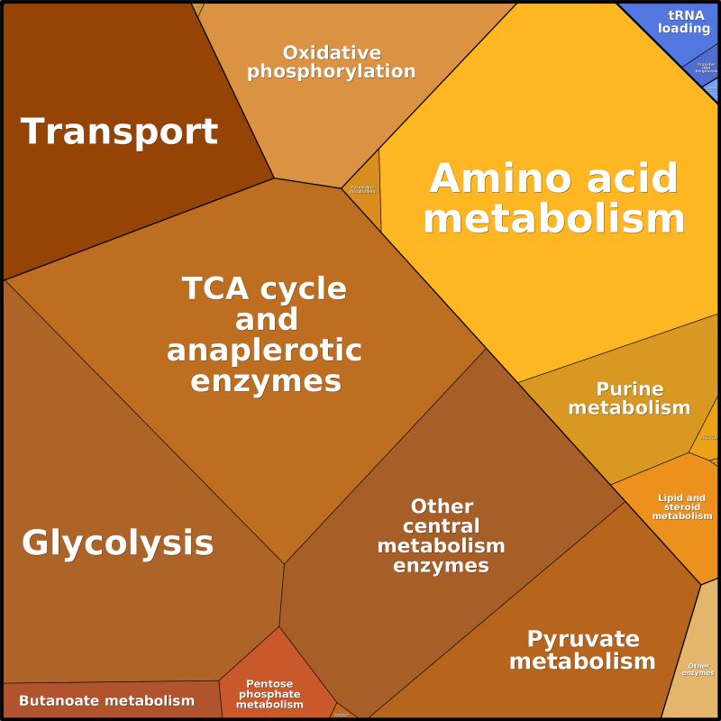 Github Biosimulators Biosimulators Rbapy Rbapy Biochemical Network - Ocean Art Collection - Retina Quality