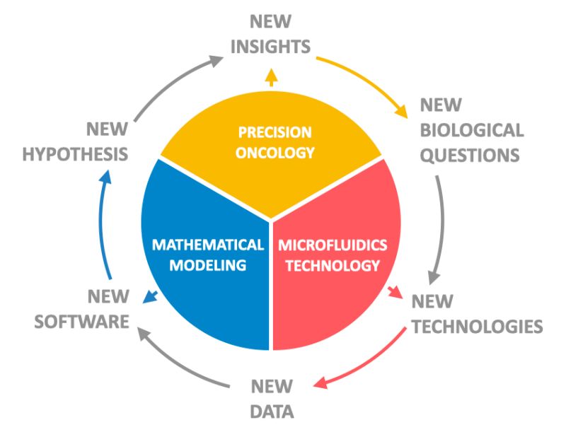 Github Efajiculay Sysbiosoft Free Software For Systems Biology - Retina Vintage Pictures for Desktop