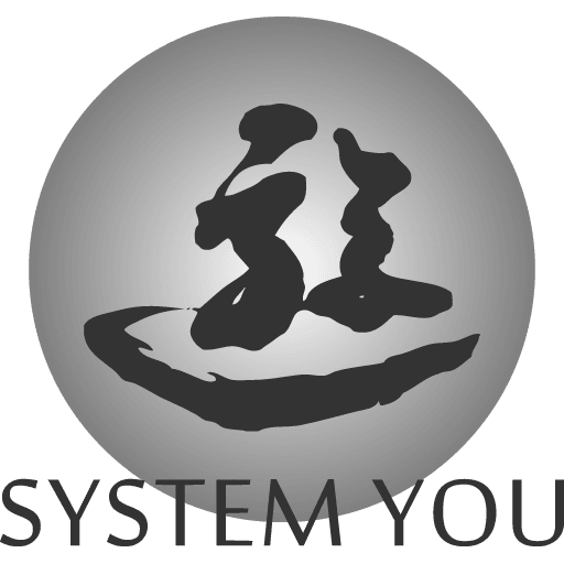 SYSTEM-YOU LLC.