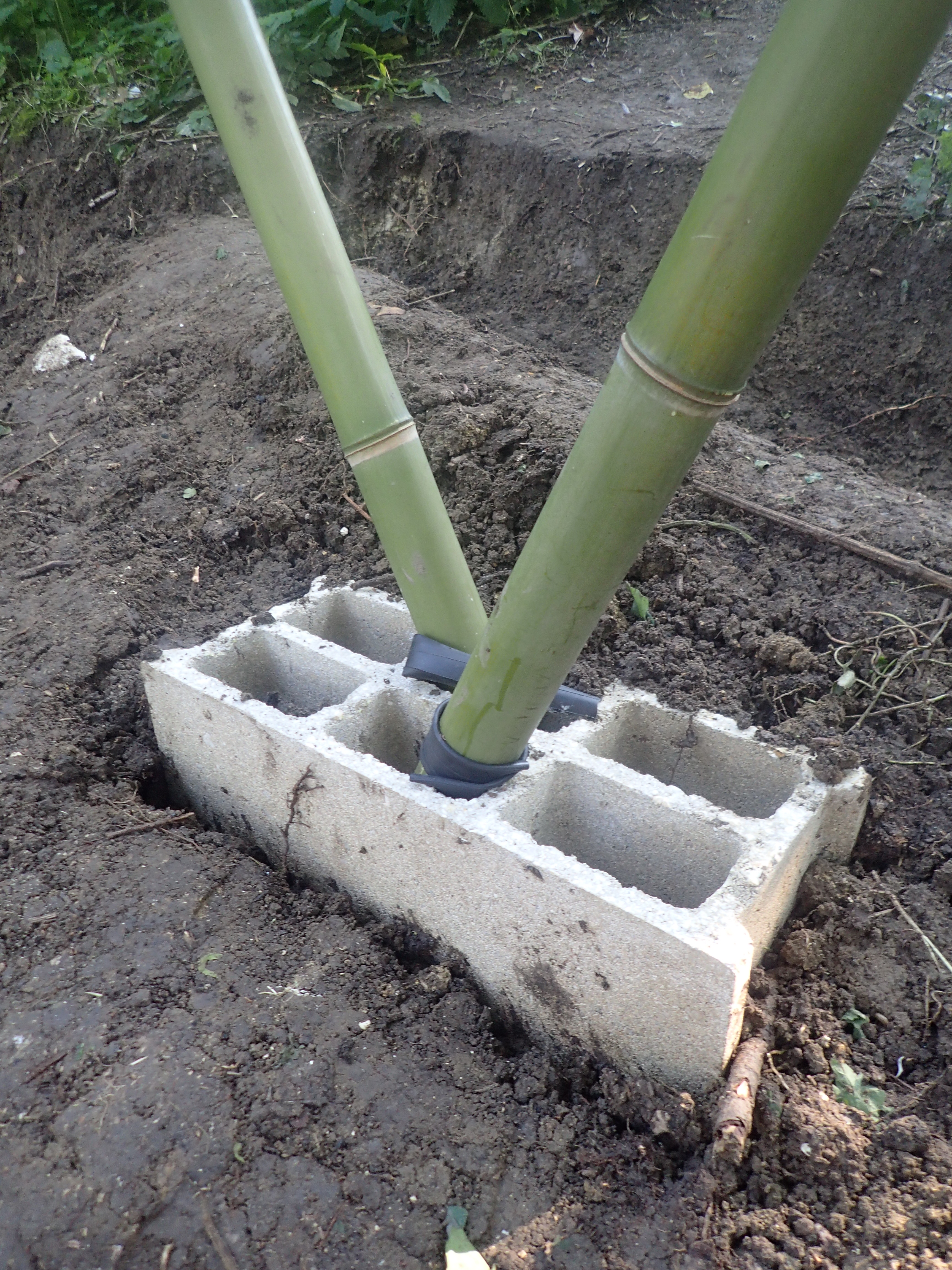 Système B - école n°3