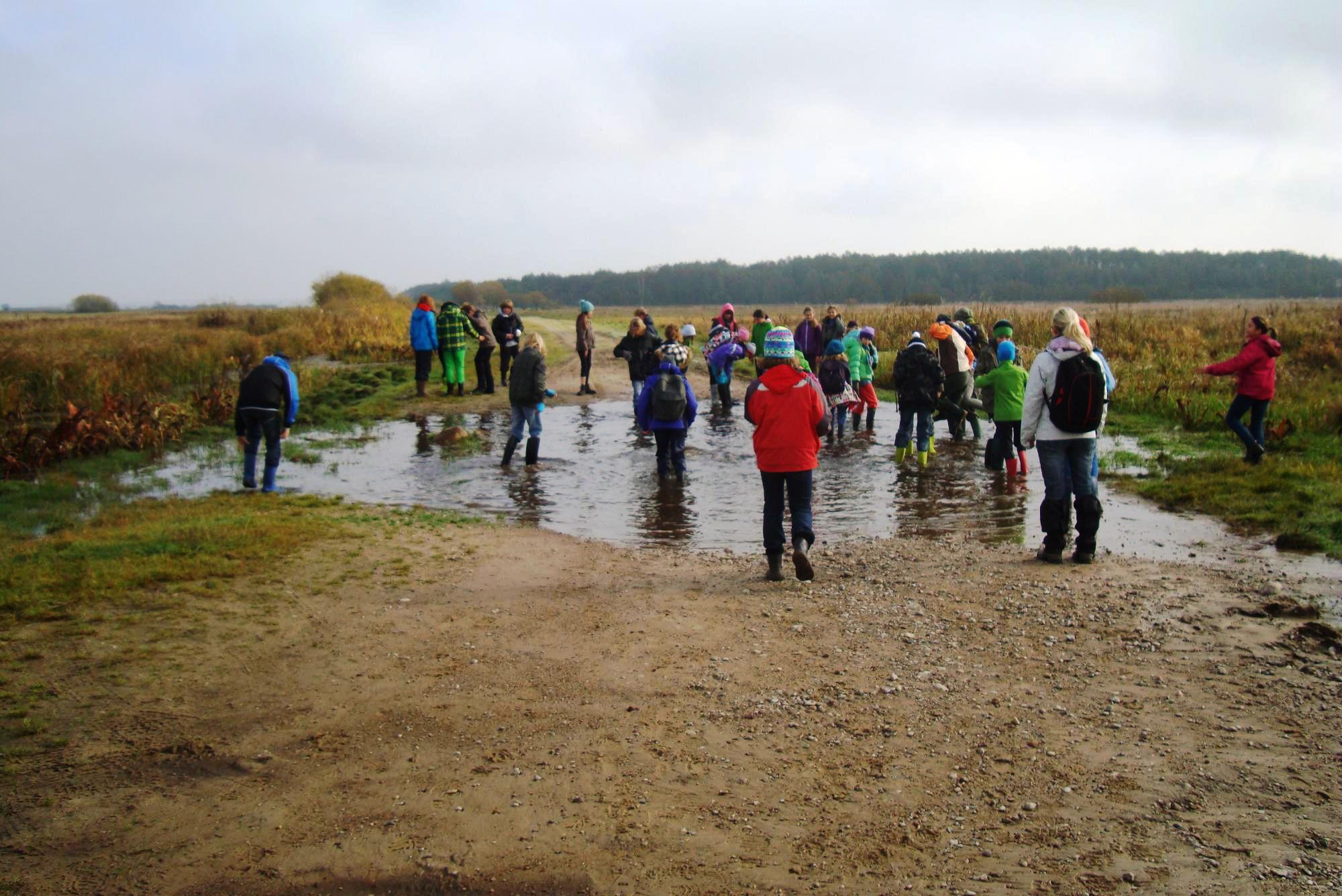 Biebrza 2013