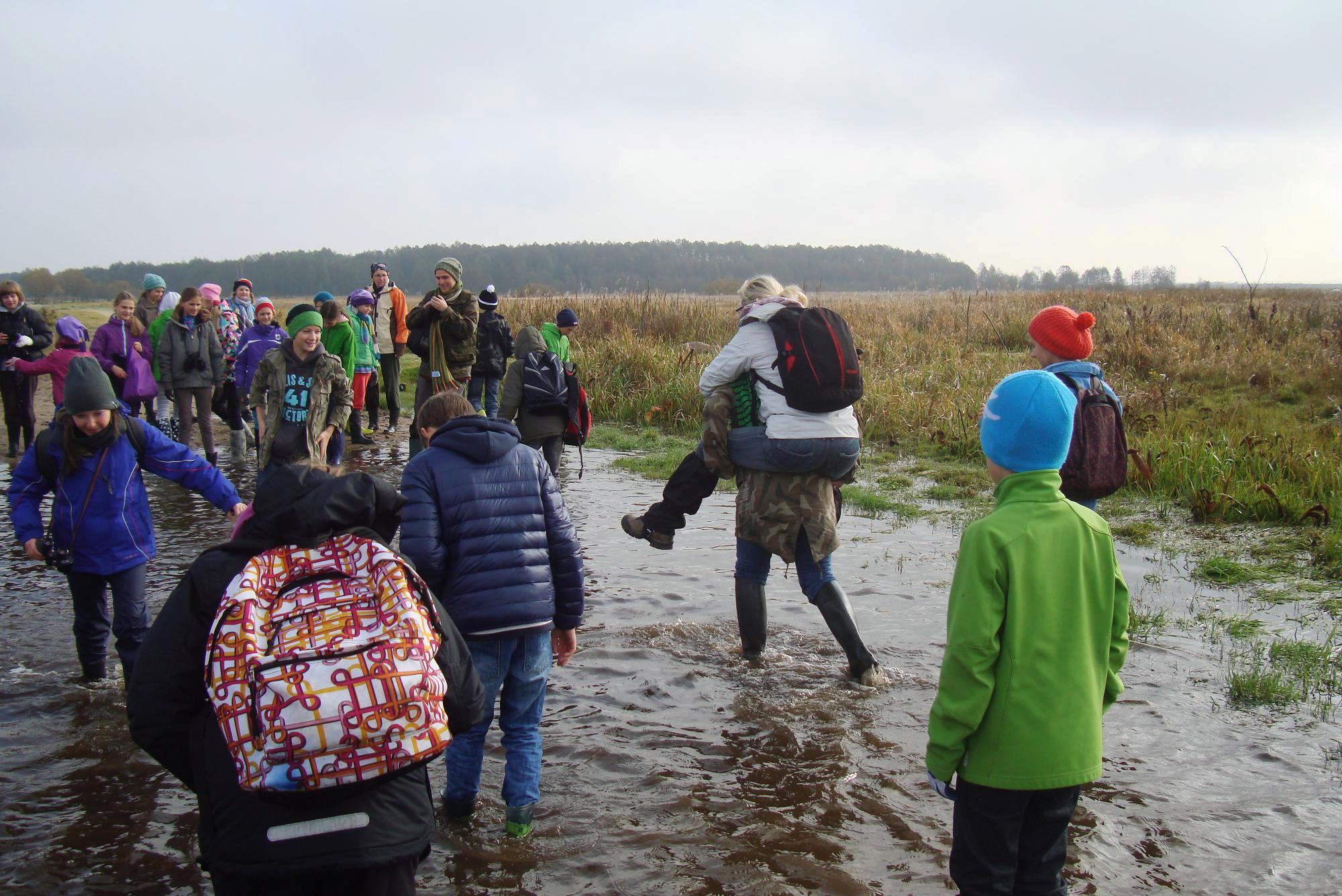 Biebrza 2013