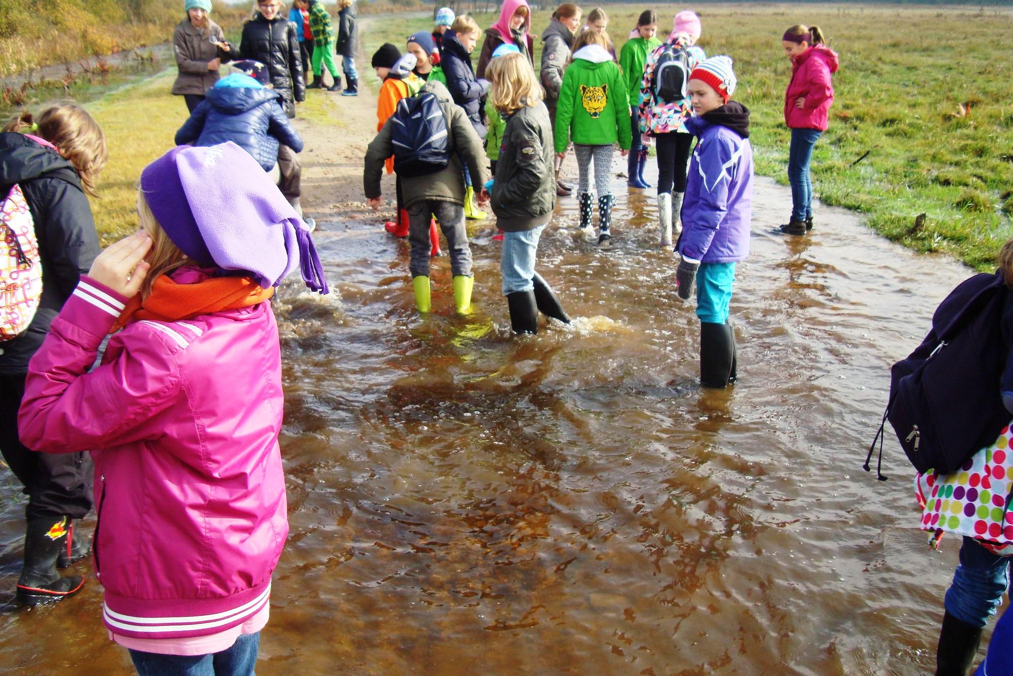 Biebrza 2013