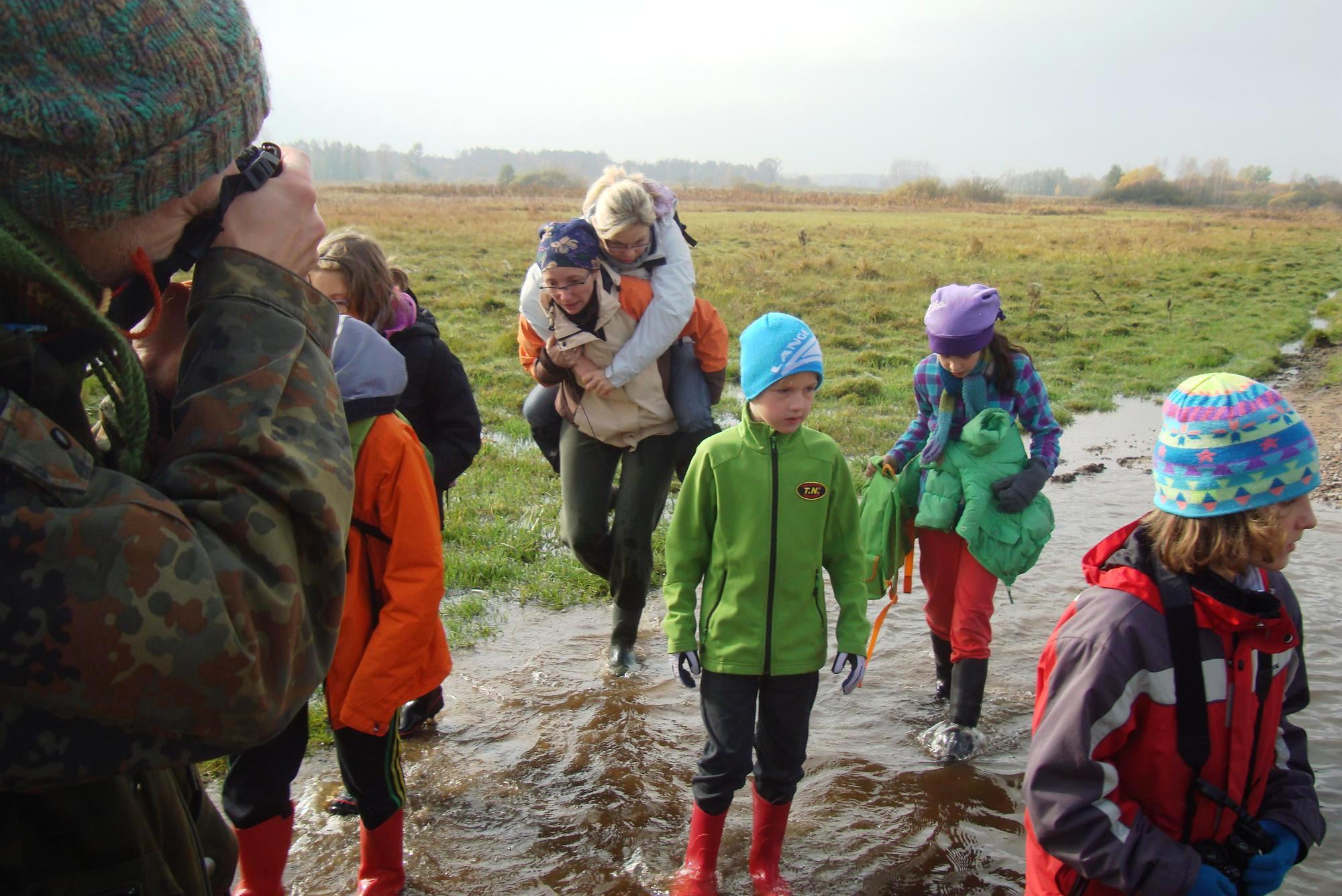 Biebrza 2013