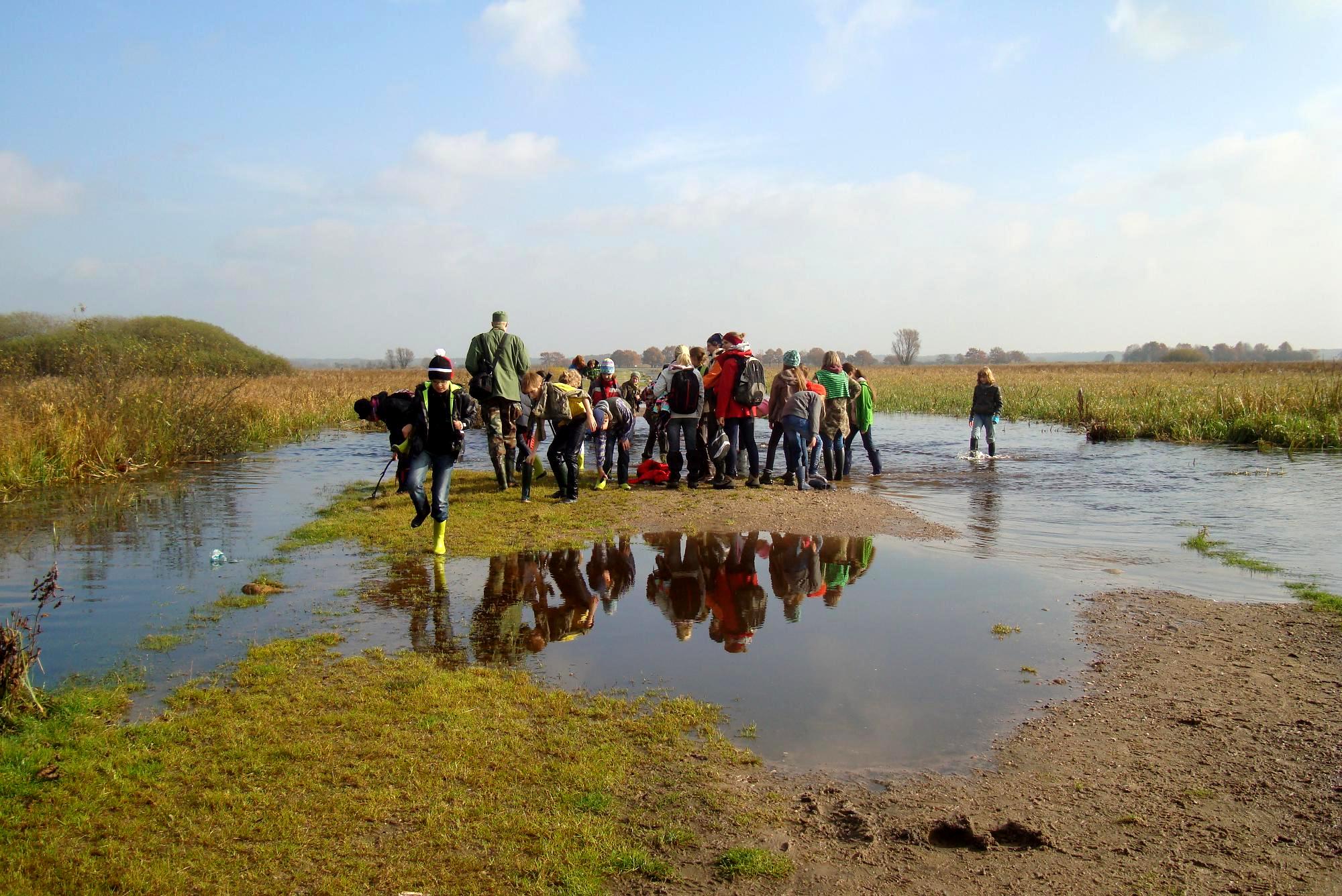 Biebrza 2013