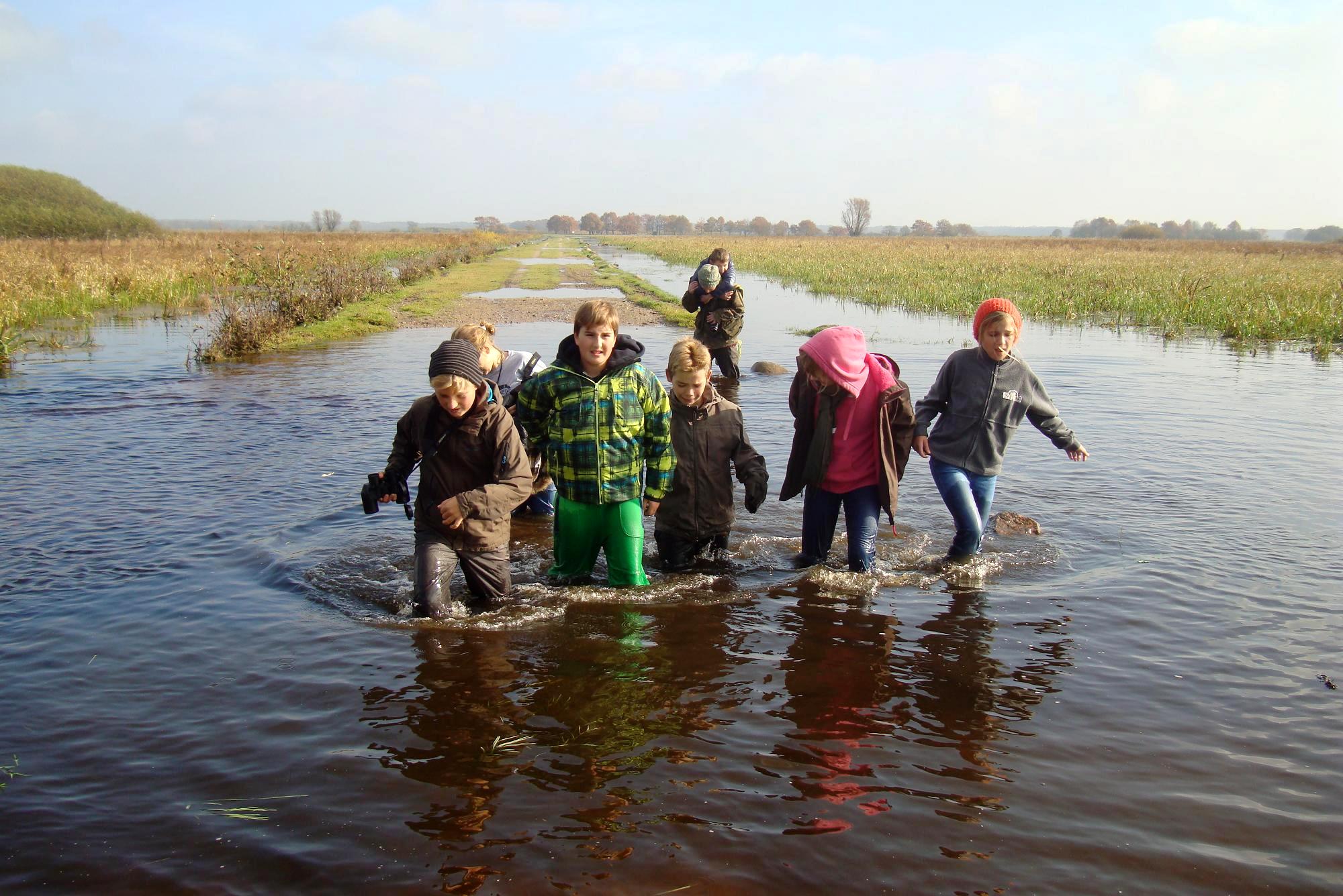 Biebrza 2013