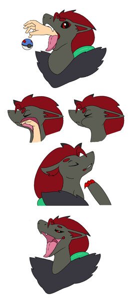 The film was shown at us theaters during the pokémon black and white tour in the united states. Zoroark Swallows You Vore by Lcg75545 -- Fur Affinity dot net