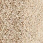 When Did Doja Cat Release Candy - Premium Ocean Illustration Gallery - Retina