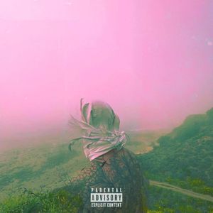 R Caskey - Nature Textures - Artistic 8K Collection