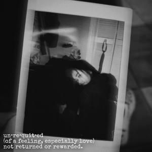 Erin Kaith - Professional Landscape Texture - 4K