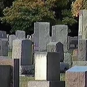 Bones Softwareupdate2 0 Lyrics And Tracklist Genius - Artistic Minimal Art - HD