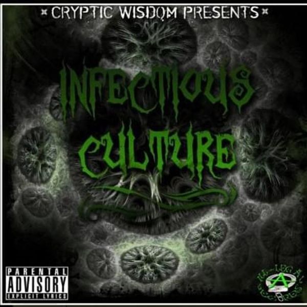 Cryptic Wisdom - Modern HD Mountain Illustrations | Free Download