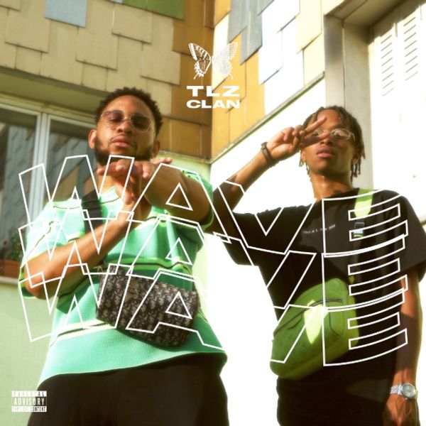 Tlz - Download Elegant Colorful Photo | 8K