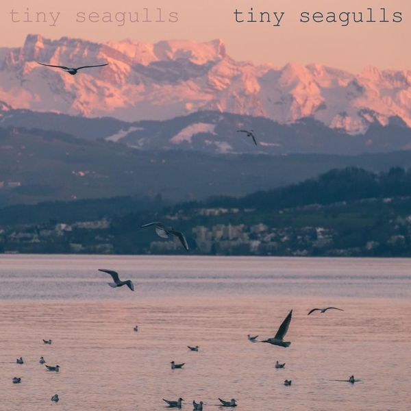 Tiny Seagulls - Retina Ocean Patterns for Desktop